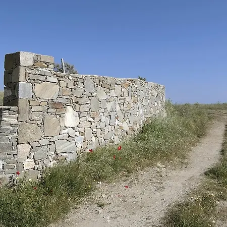 Vagia